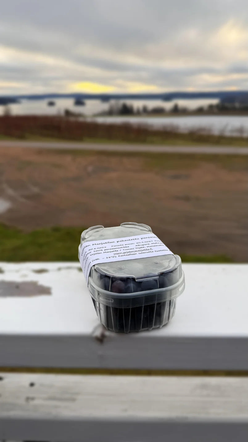 Kotimainen pensasmustikka 300g (Pakaste)