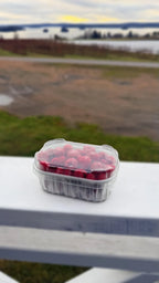 Vadelma 250g (Pakaste)